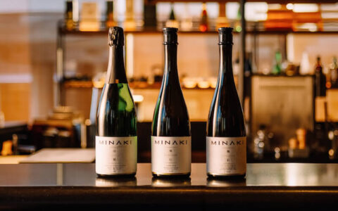 MINAKI_極幻GOKUGEN_封面圖