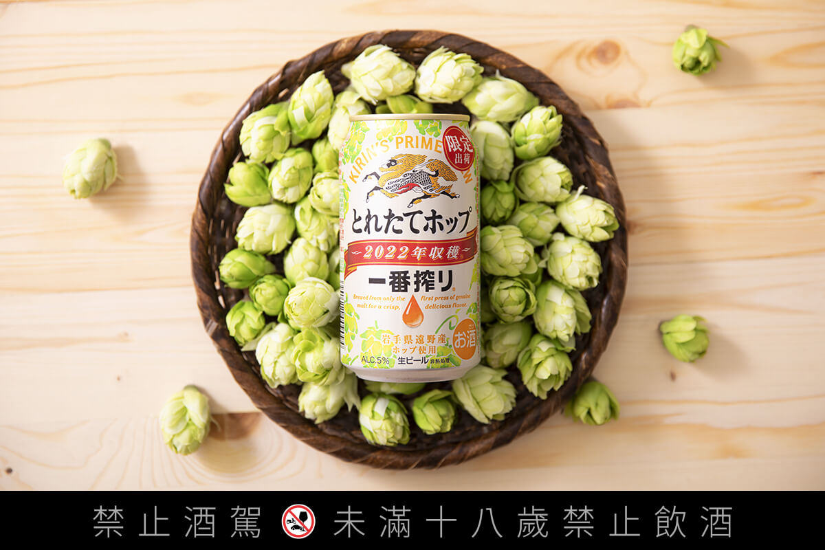 台灣KIRIN冬季限定一番搾「鮮摘啤酒花啤酒」
