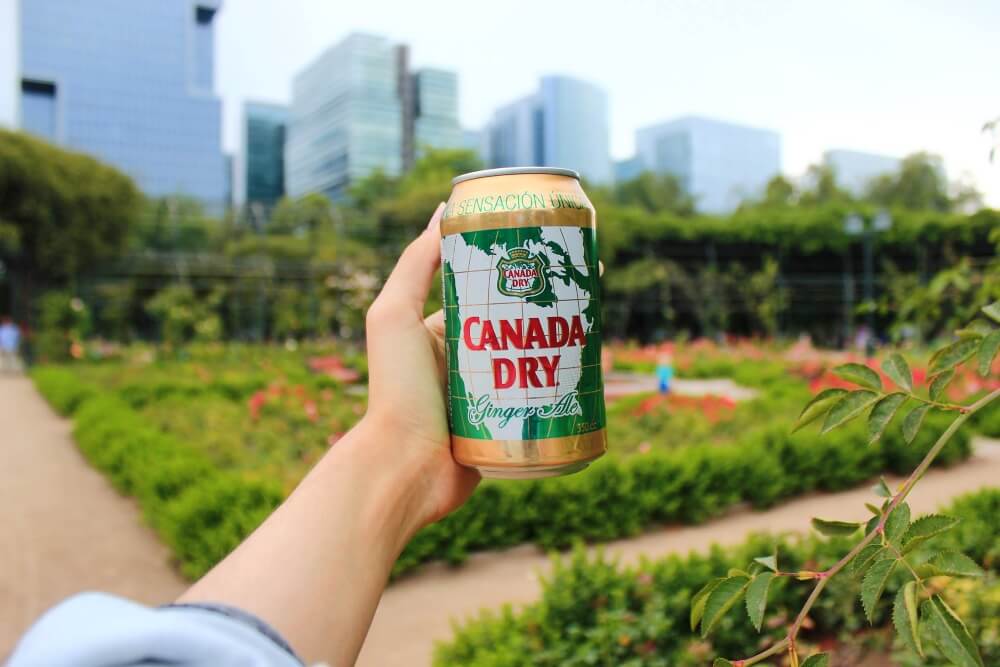 Canada-Dry薑汁汽水
