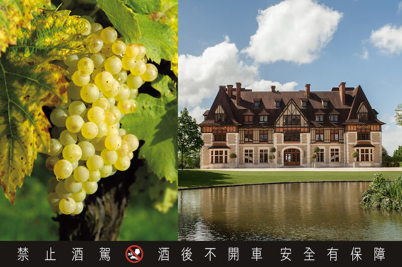 馬爹利莊園與葡萄