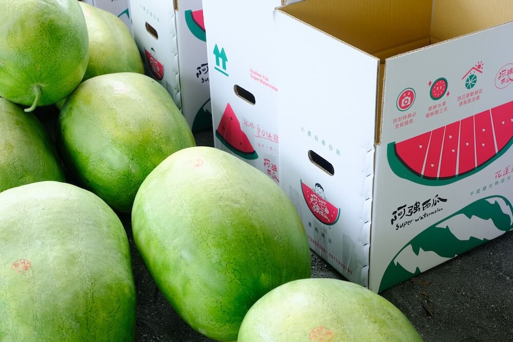 SUNAMI金色三麥「這瓶有瓜」_情境圖_03
