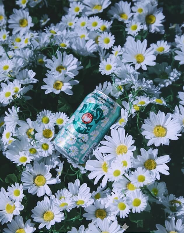 常陸野貓頭鷹-雛菊愛爾啤酒_情境圖_01