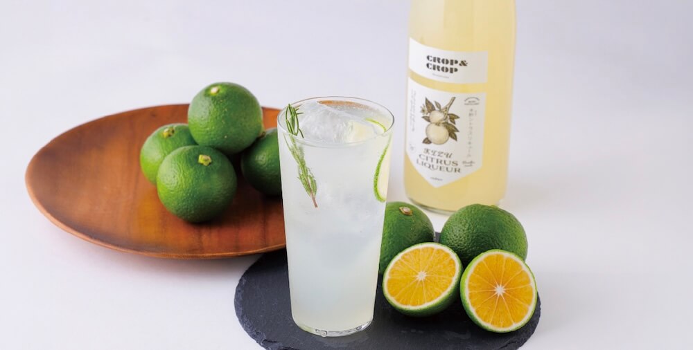 日本「大人系」果實酒與燒酎登場_芝麻葡萄Highball