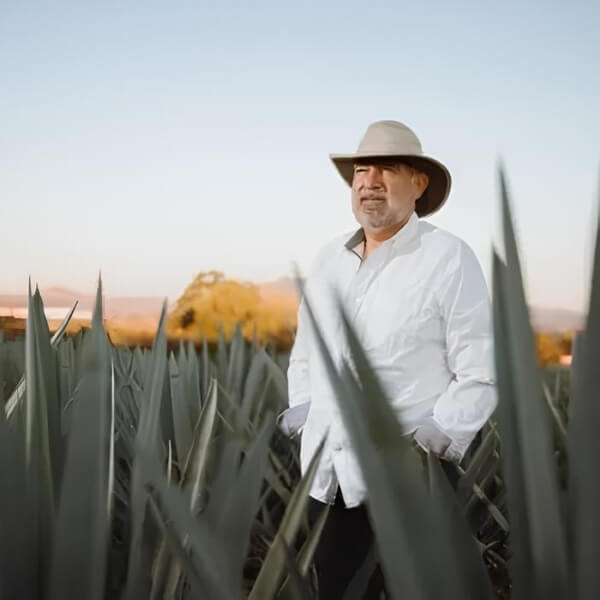 Enrique-de-Colsa