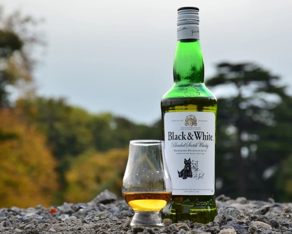 黑白狗-Black-White