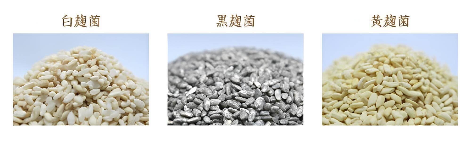 燒酎米麴種類