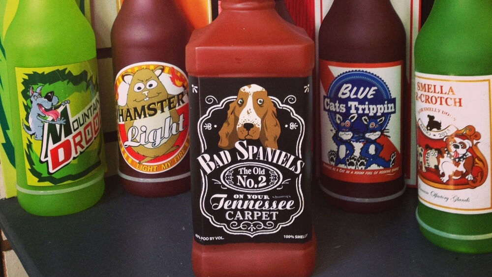 Jack-Daniels-Bad-Spaniel
