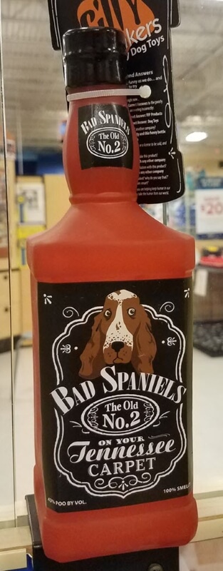 Jack-Daniels-Bad-Spaniel