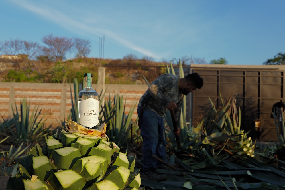 left-centered-sismo-bottle