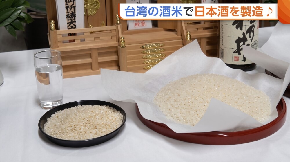 台南21號進軍日本